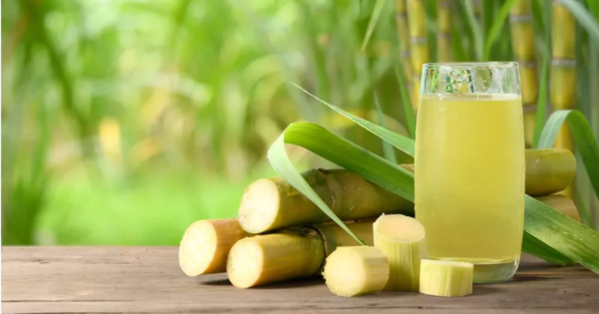 Is Sugarcane A Fruit, Vegetable, Or Grass? Unveiling The Truth Behind