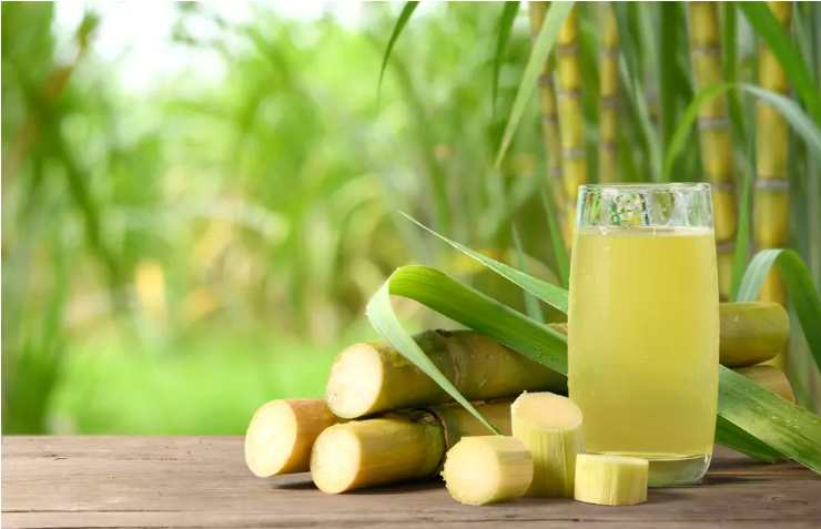 Is Sugarcane A Fruit, Vegetable, Or Grass? Unveiling The Truth Behind Its Classification