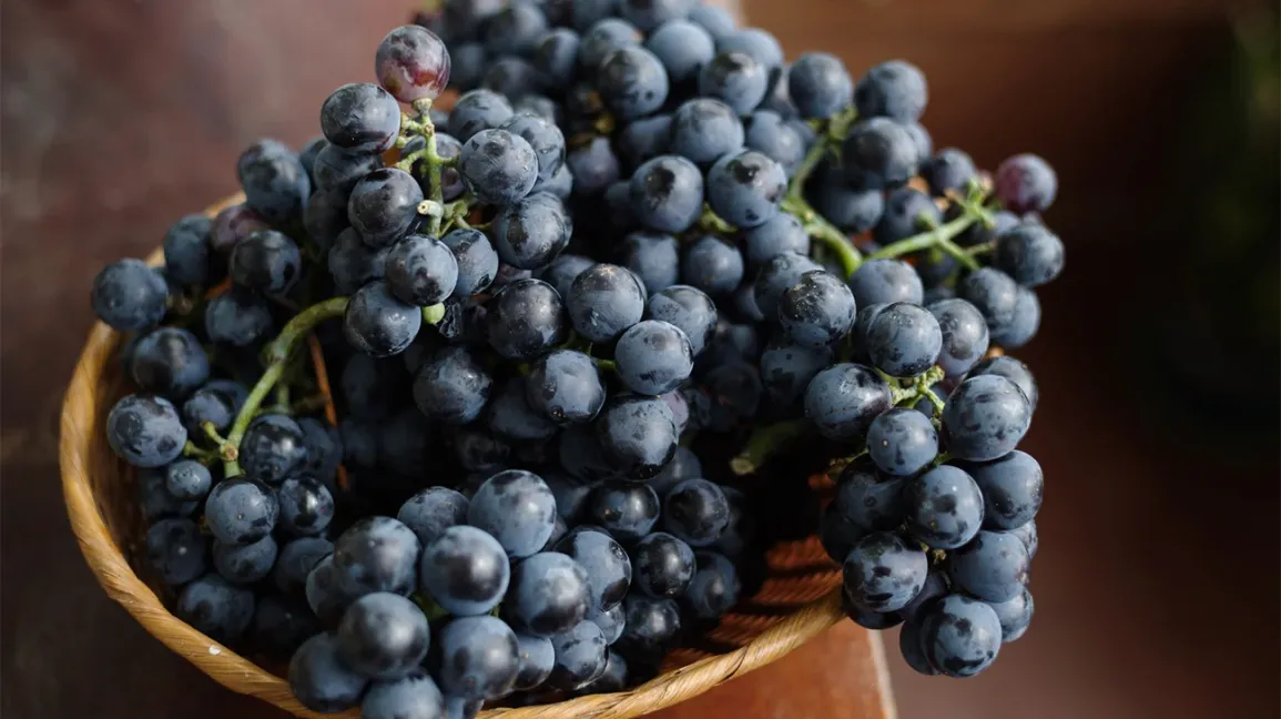 Are Grapes Natural Or Man-Made? Discover The Origins