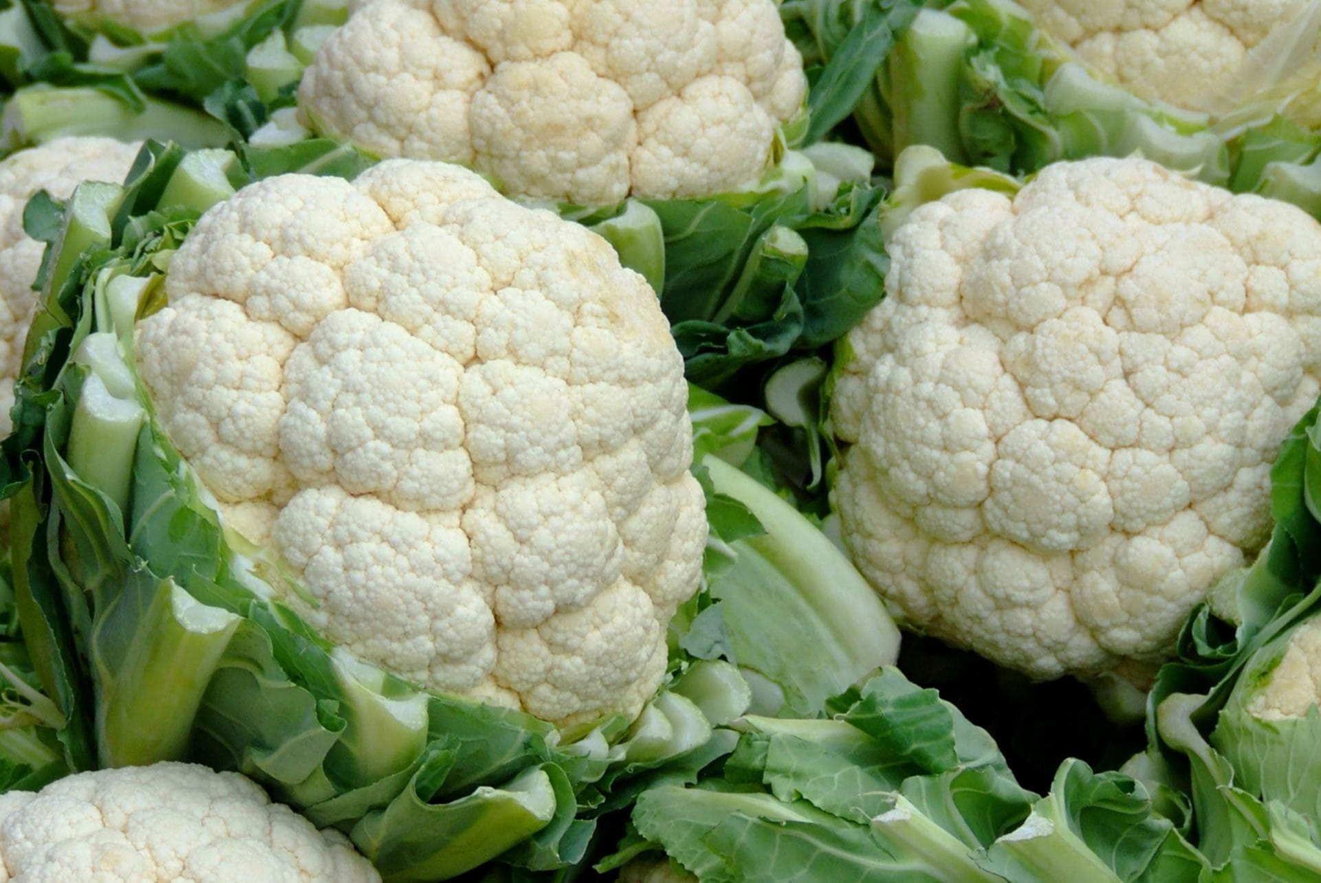 Is Cauliflower Man-Made Or A Natural Vegetable? Get The Facts
